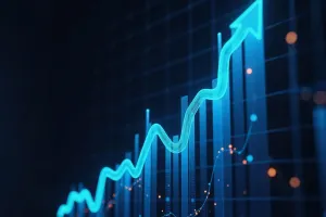 Investiție și Volatilitate