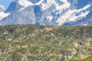 Hand Fuß Koordination