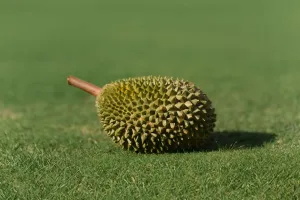 Load failed