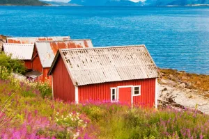 Keindahan Fjord Norwegia