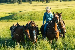 Encanto De Enterprise