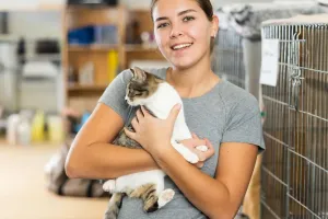 Rescue Adoption Culture