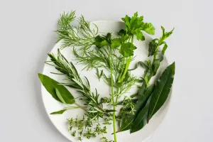 Ervas que transformam tudo