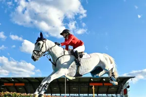 Cavalgada consciente