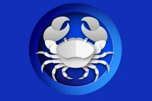 Keseimbangan Dipandu Hati