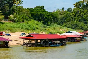 Taman Negara nguyên bản