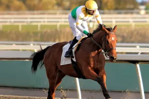 Yarış Atlarının Hızı