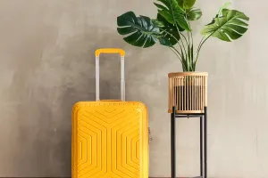 Den idealen Koffer wählen