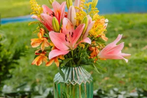 Уличные цветы