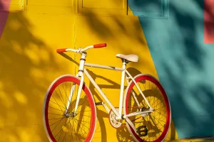 Keep Bike in Top Shape