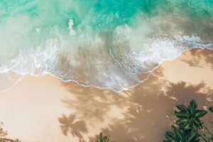 Beach Day Must-Haves