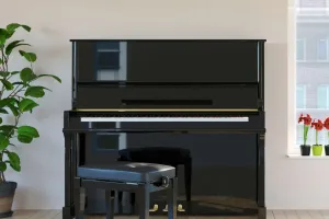 Bí ẩn trong cây đàn piano