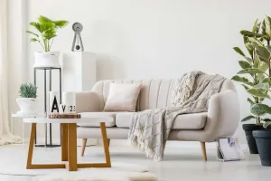 Picking the Perfect Sofa Hue