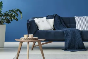 Cozy Sofa Comfort