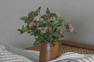 Seramik Saksı Gücü