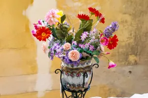 Современная флористика