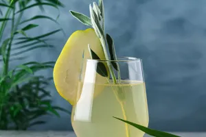 Kesegaran Minuman Lemon Beku