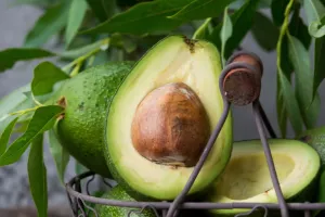 Manfaat Buah Alpukat