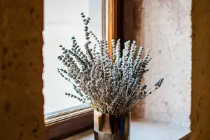 Цветы без ошибок