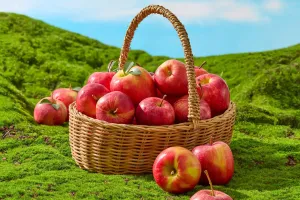 Why Apples Are Amazing