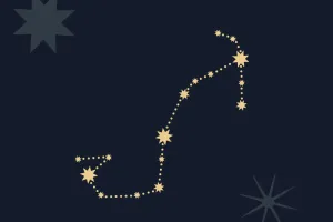 Bọ Cạp: Vững Tâm Hôm Nay