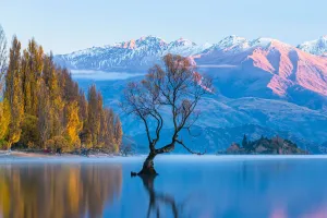 L’âme de wanaka