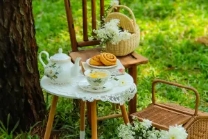 Trồng cúc La Mã tại nhà