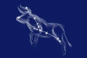 Kim Ngưu Và Cụm Sao Thất Nữ