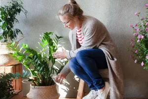 Здоровые растения