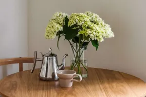 Flores que mudam sua casa