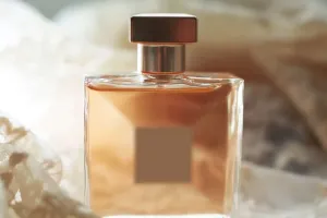 My Perfume Collection!