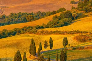 Tuscany at a Slower Pace