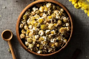 Dried Chamomile Flowers