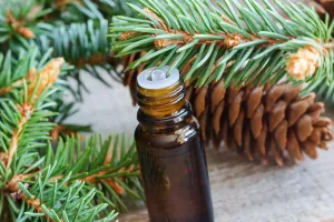 Combo chăm sóc tóc