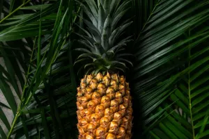 Ananas richtig lagern