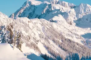 Tips Aman Bermain Ski