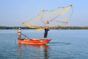 Chọn lưới câu đúng cách