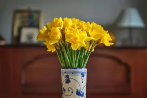 Frische Blumenpflege