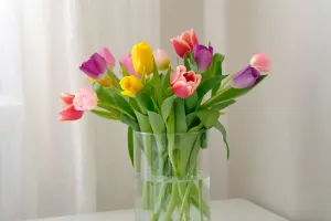 Tulipas sempre firmes