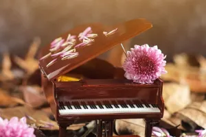 Duyguları Şekillendiren Güç