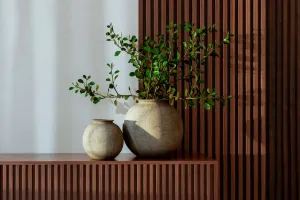 Trang Trí Phòng Bằng Cây