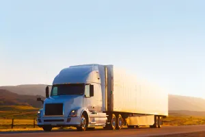 Jenis Truk Indonesia