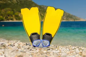 İlk Dalış Rehberi