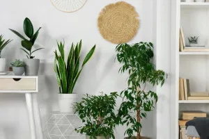 Sustainable Materials