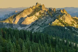 Forests and Climate Balance