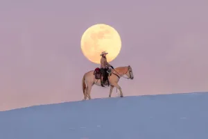 Building Horse Trust