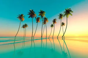 Top 10 Tropical Beaches