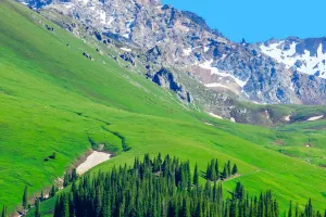 Protecting the Grasslands