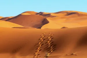 Merzouga Sahara Escape