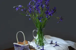 Cách Trồng Hoa Diên Vĩ